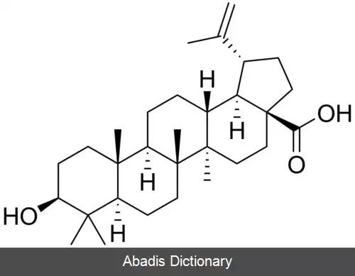 عکس بتولینیک اسید
