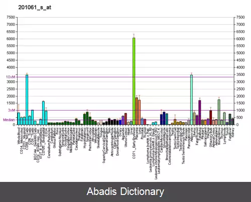 عکس استوماتین