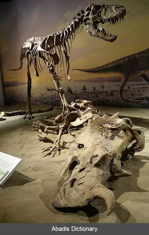 عکس سنتروسور