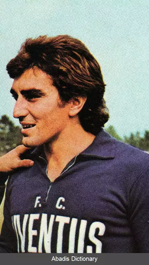 عکس فرناندو ویولا