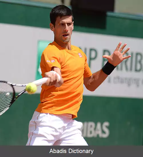 عکس فهرست قهرمانان تک نفره مردان گرند اسلم