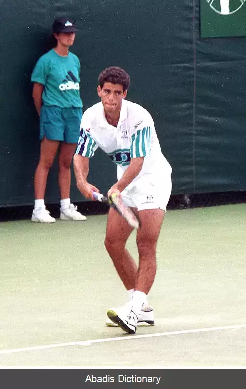 عکس فهرست قهرمانان تک نفره مردان گرند اسلم