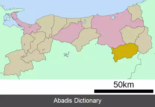 عکس چیزو توتوری