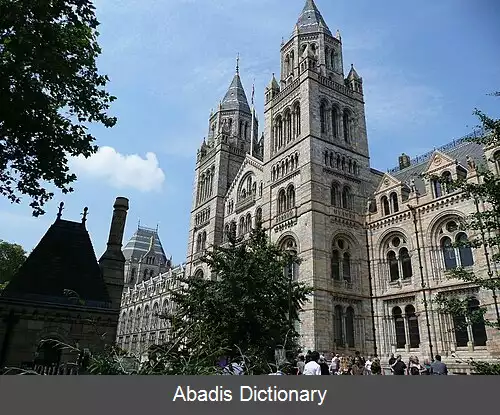 عکس فهرست پربازدیدترین موزه های بریتانیا