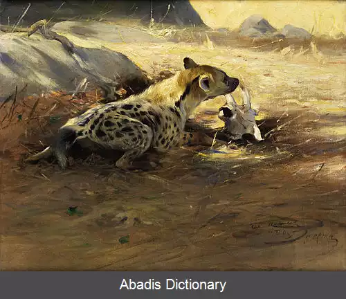 عکس ویلهلم کوهنرت