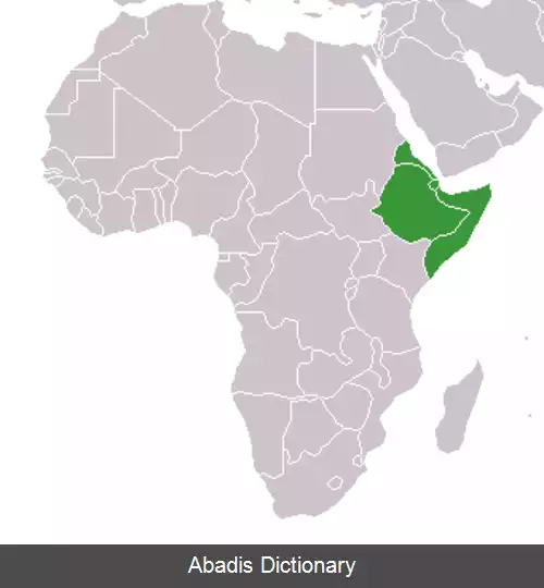 عکس شاخ آفریقا