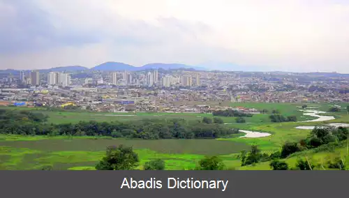 عکس سوزئنو