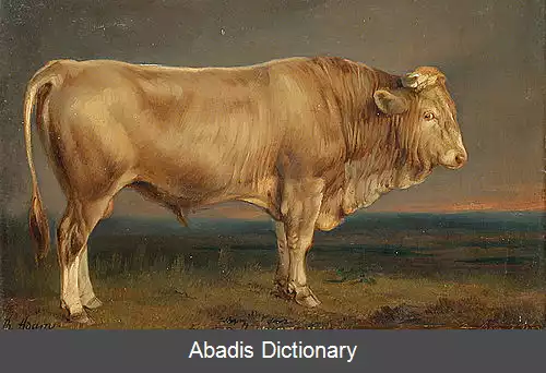 عکس بنو آدام