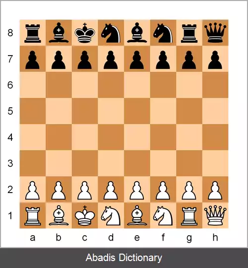 عکس شطرنج۹۶۰