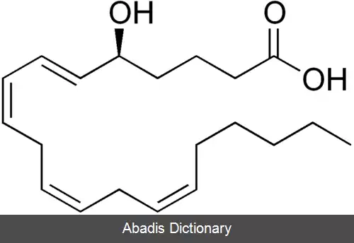 عکس ۵ اسید هیدروکسی ایکوزاتترانوئیک