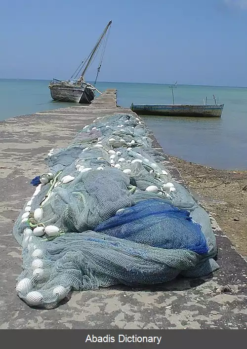 عکس استان پمبای جنوبی