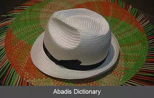 عکس کلاه حصیری