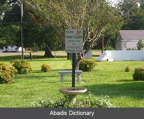 عکس فریدی لوئیزیانا