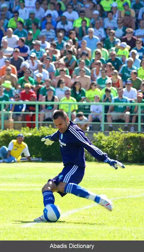 عکس دیگو کاوالیری