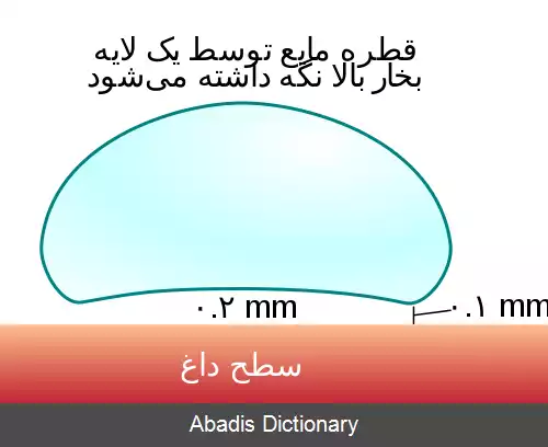 عکس پدیده لایدن فروست