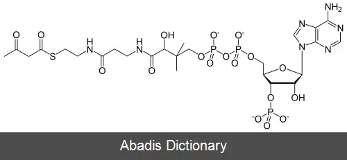 عکس استواستیل کوآ