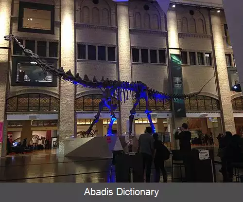 عکس فوتالانگکوسور