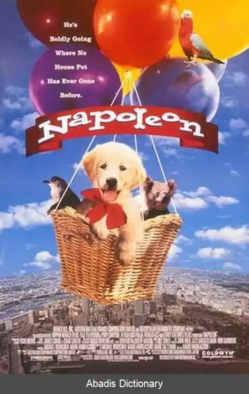 عکس ناپلئون (فیلم ۱۹۹۵)