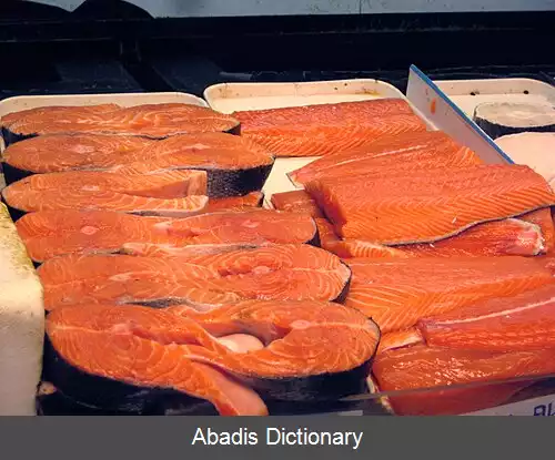 عکس استیک ماهی