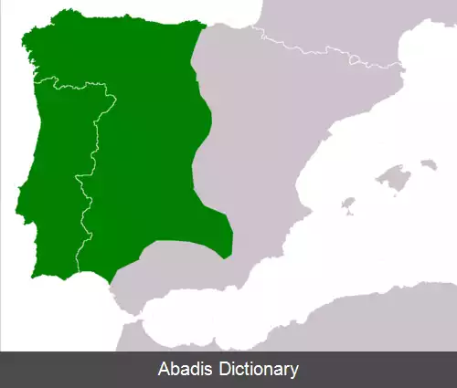 عکس قورباغه نگارین ایبری