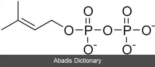 عکس دی متیل آلیل پیروفسفات