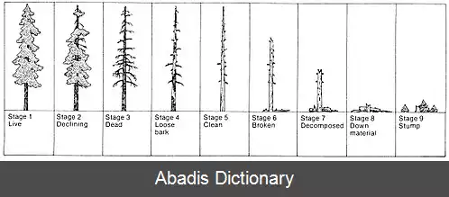 عکس خشکه دار