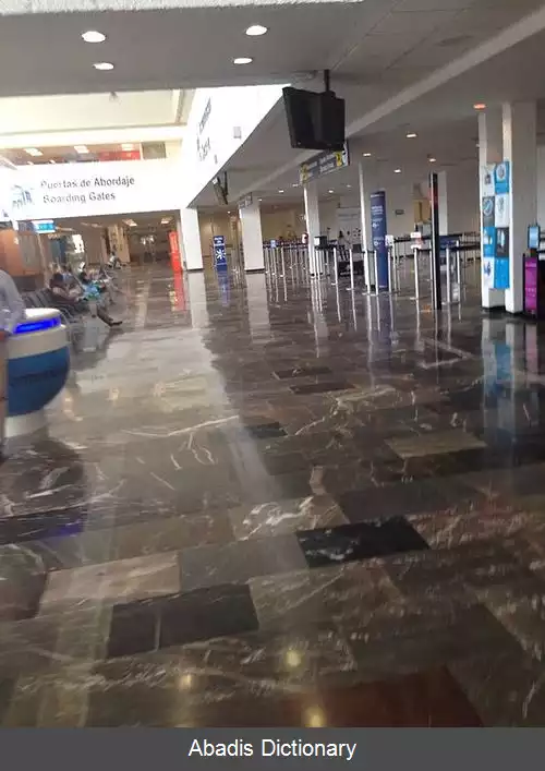 عکس فرودگاه بین المللی ژنرال خوان آلوارز