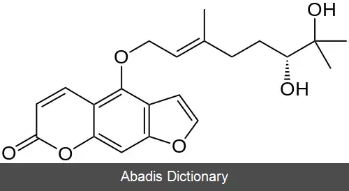 عکس ۶