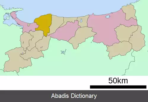 عکس دایسن توتوری