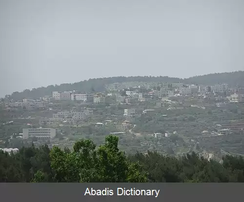 عکس بیت سوریک