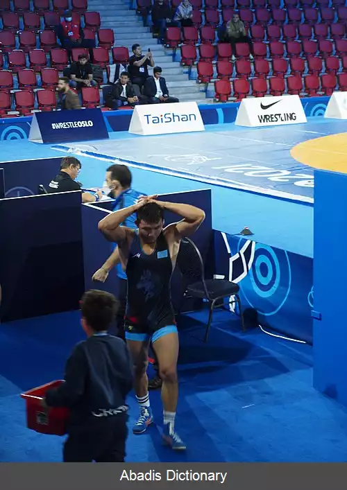 عکس نورکوژا کایپانوف