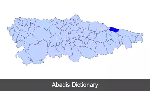 عکس ریبادسیا