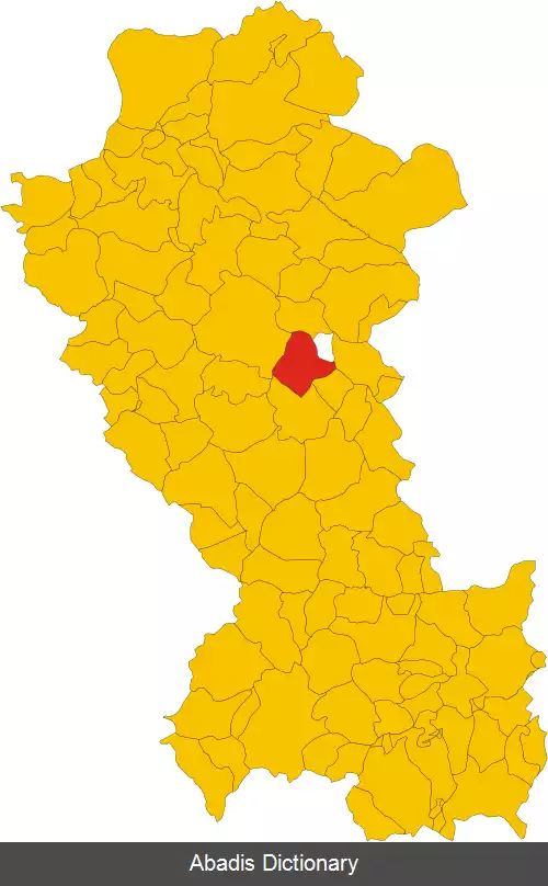 عکس بریندیسی مونتانیا