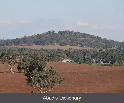 عکس مایکولتا استرالیای جنوبی