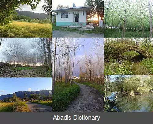 عکس بیجاربسته سر