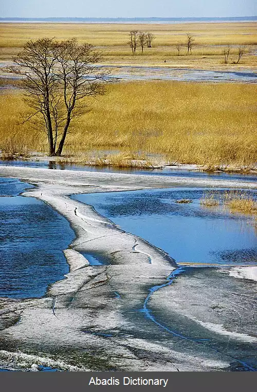 عکس چمنزار سیلابی