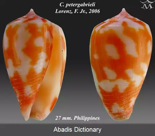 عکس قیفک پیترگابریل