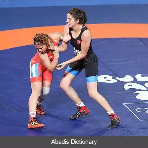 عکس زینب صغیر