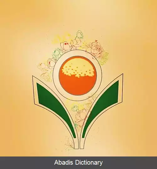 عکس دوسالانه ی داستان کوتاه نارنج