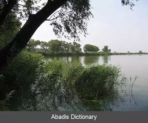 عکس رودخانه سامارا (دنیپر)