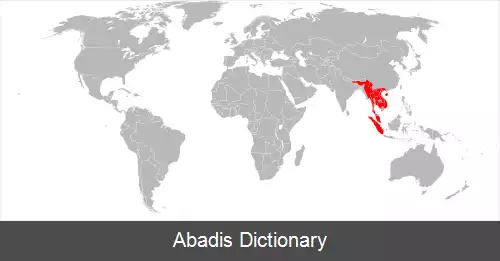 عکس سنجاب غول پیکر سیاه