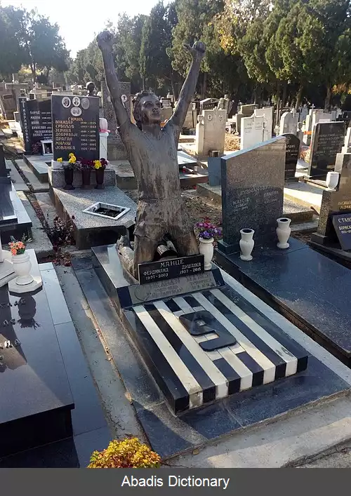 عکس دراگان ماتنسه