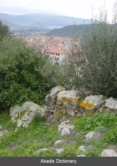 عکس سیلی گو