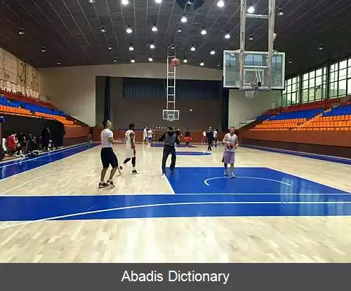 عکس فدراسیون بسکتبال ارمنستان