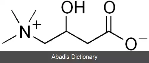 عکس کارنیتین
