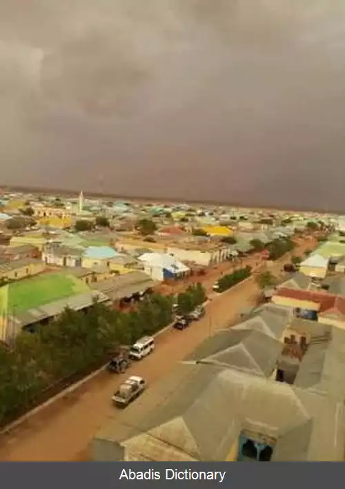 عکس طوس مریب