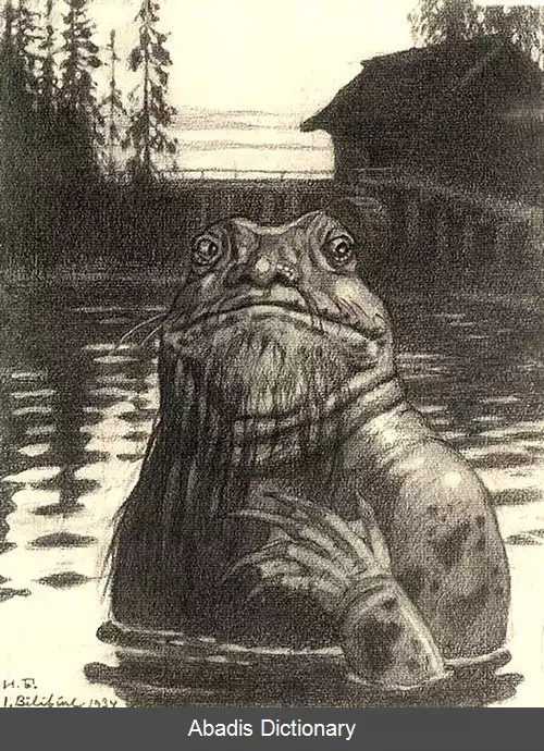 عکس وودیانوی