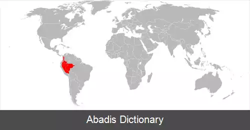 عکس سنجاب کوتوله آمازون