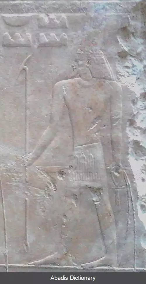 عکس سوپدو