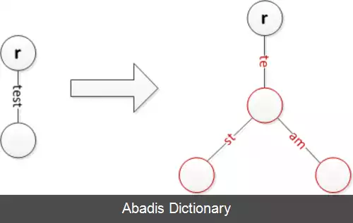 عکس درخت مبنا
